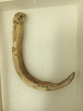 Marquesan. <em>Ornament</em>, before 1938. Bone, 13/16 x 5 1/2 in. (2 x 14 cm). Brooklyn Museum, A. Augustus Healy Fund, 42.211.8. Creative Commons-BY (Photo: Brooklyn Museum, CUR.42.211.8.jpg)