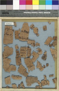  <em>Papyrus Fragments Inscribed in Demotic and Greek</em>, 664 B.C.E.-395 C.E. Papyrus, ink, Glass: 10 1/4 x 8 1/16 in. (26 x 20.5 cm). Brooklyn Museum, Bequest of Theodora Wilbour from the collection of her father, Charles Edwin Wilbour, 47.218.43 (Photo: Brooklyn Museum, CUR.47.218.43_IMLS_PS5.jpg)