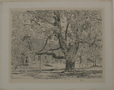 Frederick Childe Hassam (American, 1859–1935). <em>The Big Horse Chestnut Tree, Easthampton</em>, 1928. Etching Brooklyn Museum, By exchange, 48.209.2 (Photo: Brooklyn Museum, CUR.48.209.2.jpg)