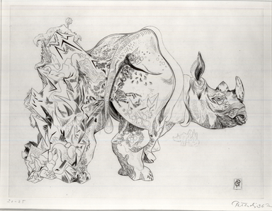 Gabor Peterdi (American, born Hungary, 1915–2001). <em>Rhinoceros</em>, 1936. Engraving on paper, 8 11/16 x 11 11/16 in. (22 x 29.7 cm). Brooklyn Museum, Gift of Martin Segal, 53.114.5. © artist or artist's estate (Photo: Brooklyn Museum, CUR.53.114.5.jpg)
