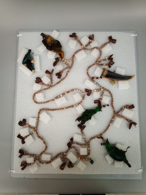  <em>Necklace</em>, 20th century. Seeds, plant fiber, whole birds, toucan beak, 18 1/2 × 1 1/2 × 21 3/4 in. (47 × 3.8 × 55.2 cm), on storage board. Brooklyn Museum, Gift of George Grossblatt, 58.159.11. Creative Commons-BY (Photo: Brooklyn Museum, CUR.58.159.11.jpg)