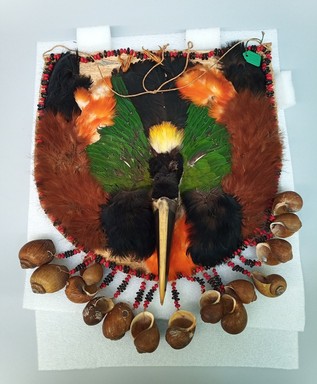 Maina. <em>Gorget</em>, 20th century. Bark cloth, head and beak of Toucan bird, feathers, seeds, snail shells, plant fiber, 18 1/4 × 16 1/2 × 2 1/2 in. (46.4 × 41.9 × 6.4 cm). Brooklyn Museum, Gift of George Grossblatt, 58.159.4. Creative Commons-BY (Photo: Brooklyn Museum, CUR.58.159.4.jpg)