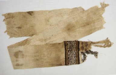  <em>possible Loincloth, Tie, Fragment</em>, 1532-1700 or 1000-1400. Cotton, camelid fiber, 8 1/4 × 15 3/8 in. (21 × 39.1 cm), as sewn on plastic sheet. Brooklyn Museum, Gift of Adelaide Goan, 64.114.190 (Photo: Brooklyn Museum, CUR.64.114.190.jpg)