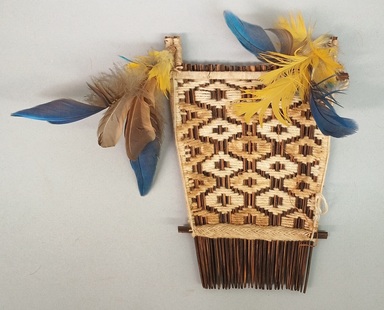 Tapirape. <em>Comb</em>, 20th century. Wood, cotton, feathers, 7 × 8 1/4 × 2 1/4 in. (17.8 × 21 × 5.7 cm). Brooklyn Museum, A. Augustus Healy Fund, 64.214.16. Creative Commons-BY (Photo: Brooklyn Museum, CUR.64.214.16.jpg)