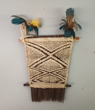 Possibly Tapirape. <em>Comb</em>, 20th century. Cane, cotton, feathers, 7 1/4 × 5 13/16 × 1 1/2 in. (18.4 × 14.8 × 3.8 cm). Brooklyn Museum, A. Augustus Healy Fund, 64.214.22. Creative Commons-BY (Photo: Brooklyn Museum, CUR.64.214.22.jpg)