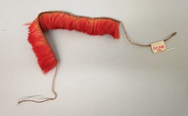 Kaapor. <em>Bracelet</em>, 20th century. Feathers, plant fiber, 3/4 × 1/4 × 5 1/2 in. (1.9 × 0.6 × 14 cm), not including ties. Brooklyn Museum, Gift of Ingeborg de Beausacq, 64.248.14. Creative Commons-BY (Photo: Brooklyn Museum, CUR.64.248.14.jpg)