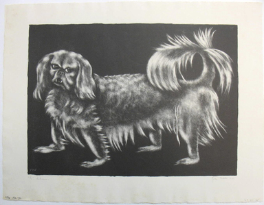 George Biddle (American, 1885–1973). <em>"Pu," Pekinese</em>, 1937. Lithograph, 11 1/2 x 15 7/8 in. (29.2 x 40.3 cm). Brooklyn Museum, Gift of George Biddle, 67.185.35. © artist or artist's estate (Photo: Brooklyn Museum, CUR.67.185.35.jpg)