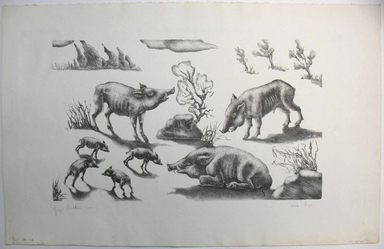 George Biddle (American, 1885–1973). <em>Wild Pigs</em>, 1947. Lithograph, 9 1/2 x 16 1/2 in. (24.1 x 41.9 cm). Brooklyn Museum, Gift of George Biddle, 67.185.40. © artist or artist's estate (Photo: Brooklyn Museum, CUR.67.185.40.jpg)