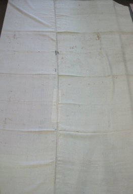 American. <em>Sheet</em>, early 19th century. Linen, 66 3/4 x 88 3/4 in. (169.5 x 225.4 cm). Brooklyn Museum, Gift of Theodora Briggs, 70.163.10. Creative Commons-BY (Photo: Brooklyn Museum, CUR.70.163.10.jpg)