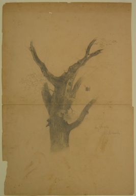 William Trost Richards (American, 1833-1905). <em>Study of Tree Trunk</em>, August 1, 1854. Graphite on paper, Sheet: 21 7/8 x 15 in. (55.6 x 38.1 cm). Brooklyn Museum, Gift of Edith Ballinger Price, 72.32.34 (Photo: Brooklyn Museum, CUR.72.32.34.jpg)