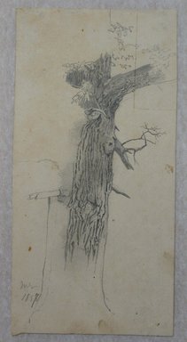 William Trost Richards (American, 1833-1905). <em>Tree Study</em>, July 1857. Graphite on paper, Sheet: 5 3/4 x 2 7/8 in. (14.6 x 7.3 cm). Brooklyn Museum, Gift of Edith Ballinger Price, 72.32.7 (Photo: Brooklyn Museum, CUR.72.32.7.jpg)