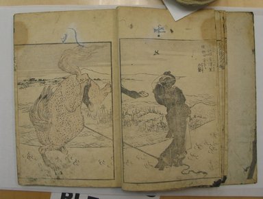 Katsushika Hokusai (Japanese, 1760-1849). <em>Hokusai Manga, Vol. IX</em>, 1817. Paper, 9 x 6 1/4 in. (22.9 x 15.9 cm). Brooklyn Museum, Anonymous gift, 76.151.83 (Photo: Brooklyn Museum, CUR.76.151.83_page10_11.jpg)