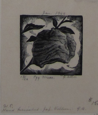 Grace Arnold Albee (American, 1890-1995). <em>Egg Mass</em>, 1966. Wood engraving on paper, 1 9/16 x 1 9/16 in. (4 x 4 cm). Brooklyn Museum, Gift of the artist, 76.198.68. © artist or artist's estate (Photo: Brooklyn Museum, CUR.76.198.68.jpg)
