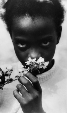 Consuelo Kanaga (American, 1894-1978). <em>[Untitled] (Child with Apple Blossoms, Tennessee)</em>, 1948. Gelatin silver print, 13 x 8 5/8 in. (33 x 21.9 cm). Brooklyn Museum, Gift of Wallace B. Putnam from the Estate of Consuelo Kanaga, 82.65.378 (Photo: Brooklyn Museum, CUR.82.65.378_print_bw.JPG)