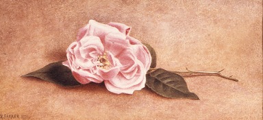 Henry Farrer (American, 1843–1903). <em>Single Pink Rose</em>, 1871. Watercolor on heavy paper, 9 x 10 in.  (22.9 x 25.4 cm). Brooklyn Museum, Purchased with funds given by Mr. and Mrs. Leonard L. Milberg, 84.150.1 (Photo: Brooklyn Museum, CUR.84.150.1.jpg)