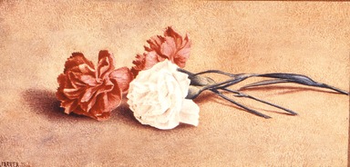 Henry Farrer (American, 1843–1903). <em>Carnations</em>, 1864. Watercolor and graphite on paper, 5 3/8 x 8 7/8 in. (13.7 x 22.5 cm). Brooklyn Museum, Purchased with funds given by Mr. and Mrs. Leonard L. Milberg, 84.150.2 (Photo: Brooklyn Museum, CUR.84.150.2.jpg)