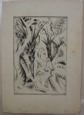 Werner Drewes (American, born Germany, 1899–1984). <em>San Francisco, Fern Trees II, Golden Gate Park</em>, 1926. Drypoint on laid paper, Image: 9 7/16 x 6 1/2 in. (24 x 16.5 cm). Brooklyn Museum, Gift of Henry Ross, 88.173.3. © artist or artist's estate (Photo: Brooklyn Museum, CUR.88.173.3.jpg)