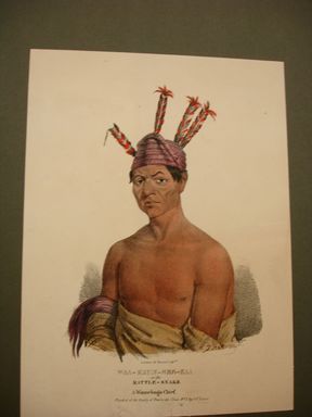 James Otto Lewis (American, 1799 – 1858). <em>Waa-Kaun-See-Kaa or the Rattle-Snake, a Winnebago Chief</em>, issued November 1835. Lithograph with watercolor on paper, Sheet: 13 1/8 x 9 11/16 in. (33.3 x 24.6 cm). Brooklyn Museum, Brooklyn Museum Collection, X1042.147.11 (Photo: Brooklyn Museum, CUR.X1042.147.11.jpg)