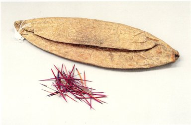 Plains. <em>Sewing Kit</em>, late 19th century. Animal bladder, beads, porcupine quills, sinew, 4 x 11 1/2 in. (10.2 x 29.2 cm). Brooklyn Museum, Brooklyn Museum Collection, X1126.13. Creative Commons-BY (Photo: Brooklyn Museum, CUR.X1126.13.jpg)