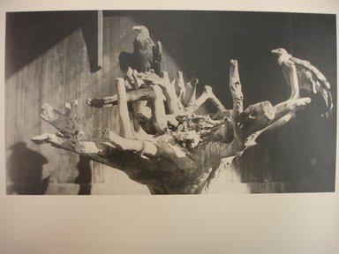 George Bradford Brainerd (American, 1845-1887). <em>Eagle and Hawk, Manhattan</em>, ca. 1880, printed 1940s. Gelatin silver photograph, image: 7 x 12 3/4 in. (17.8 x 32.4 cm). Brooklyn Museum, Brooklyn Museum Collection, X894.153 (Photo: Brooklyn Museum, CUR.X894.153.jpg)