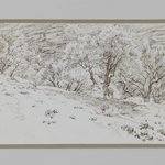 Olive Trees, Valley of Hinnom (Oliviers, vallée de Hinon)