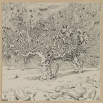 Fig-tree, Valley of Hinnom
