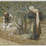 The Vine Dresser and the Fig Tree (Le vigneron et le figuier)