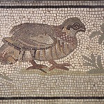 Mosaic of Partridge