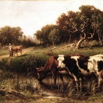 Cattle in a Pool