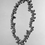 Necklace: 84 Pierced Shells