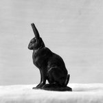 Seated Hare (Lièvre assis)