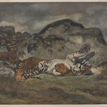 Rolling Tiger (Tigre se roulant)