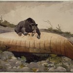 Bear and Canoe