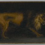 Study of a Lion (or a Lion)