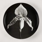 Plate, "Orchid"