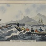 The Whale Fishery, "Laying On"