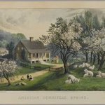 American Homestead Spring