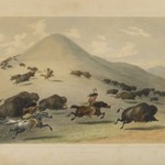 Buffalo Hunt Chase