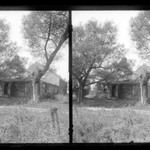 Farm, Looking North, Old South Country Road, East of Jewish Cemetery, Brooklyn
