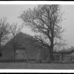 DeBaun House and Barn, Ralph in Tree, Amersfoort Place, Flatlands
