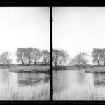 Ryders Pond (Strome Kill), Looking East, Willows, Avenue S and East 32 Street, Gravesend, Brooklyn
