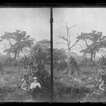 Boys and Corn-Stacks, near Bergen Van Wyck House (outside of Frame Lots), Flatlands, Brooklyn