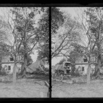 Boys on Farm Wagon, House Wrecked, near Bergen Van Wyck House (outside of Frame Lots), Flatlands, Brooklyn