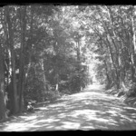 Road to Lloyds Manor, Cold Spring Harbor, Long Island