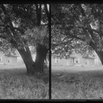 Bergen House, Vista, Bergen Beach, Flatlands, Brooklyn