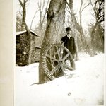 Wheel Grown into Tree, Yaphank, Long Island