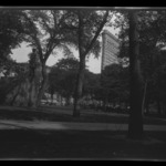 Madison Square Park, New York