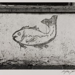 Fish Store Painting (Blake Avenue)