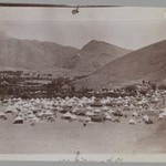 A Photogragh of a Photograph of a Royal Tent Encampment, One of 274 Vintage Photographs