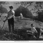 Making Hay